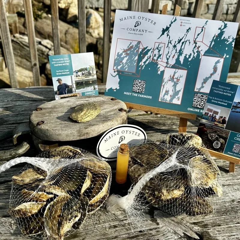 The Maine Oyster Company