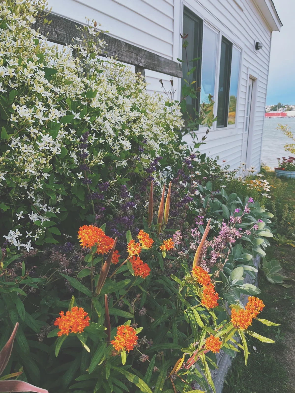 Triflorum Designs