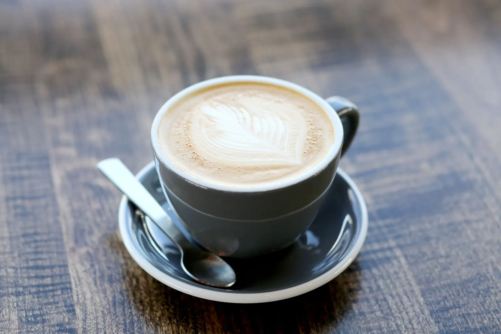 Wild Roots Coffee House