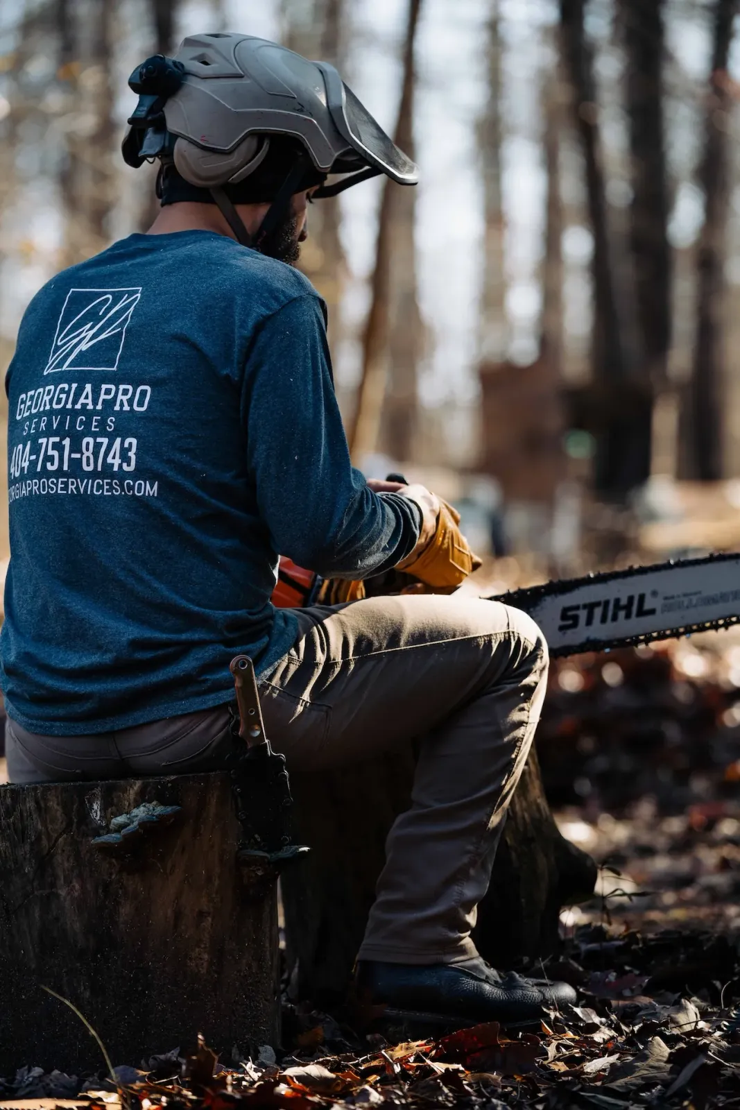 Georgia Pro Tree Services