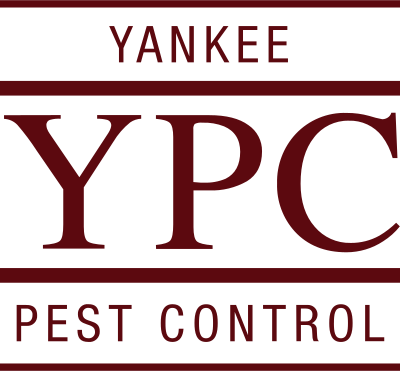 Yankee Pest Control logo