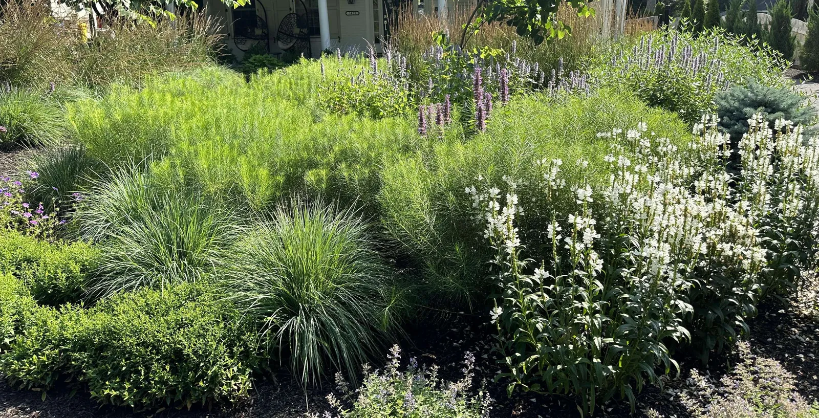 Ecolandscapes Design