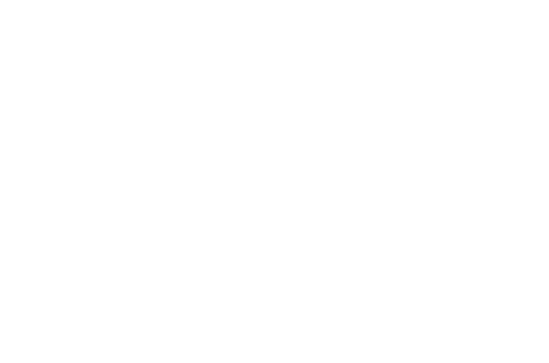 Schmitt Title