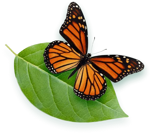 ATCO Pest Control