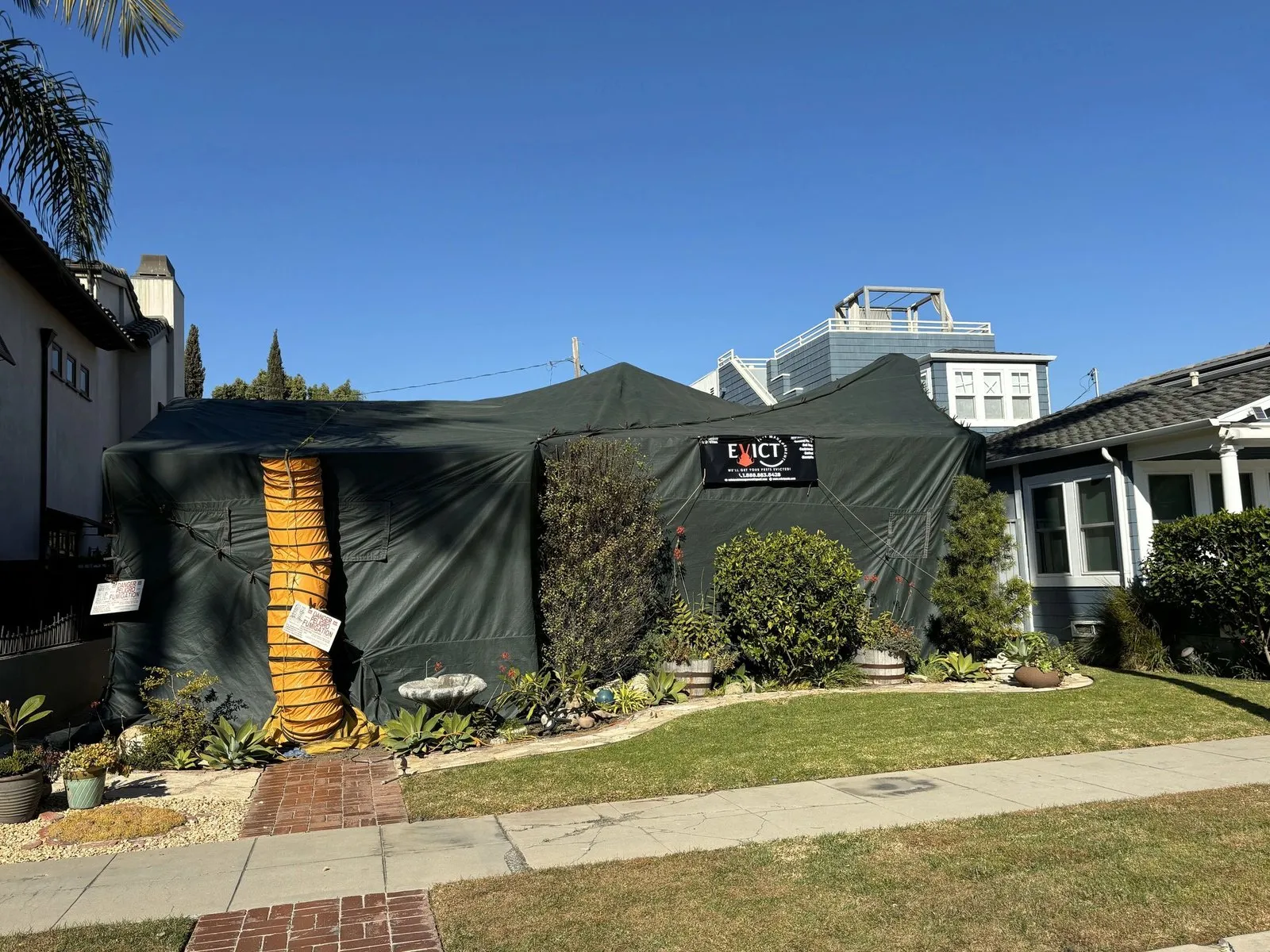 Evict Pest Management