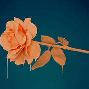 Missi LaRose logo