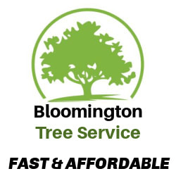 Bloomington Tree Service logo