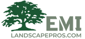 EMI Website 2025 logo