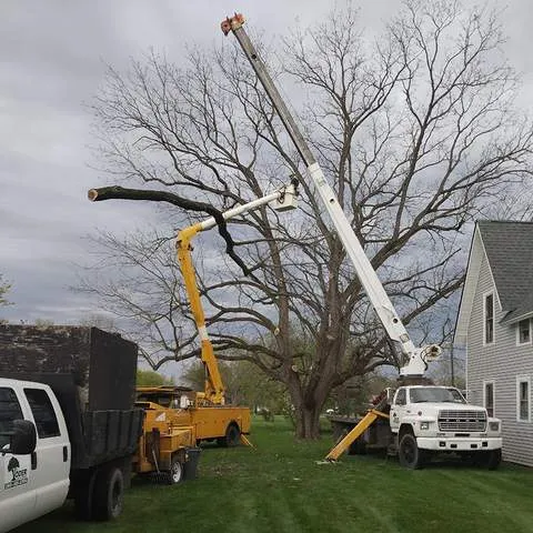 Yoder Tree Service