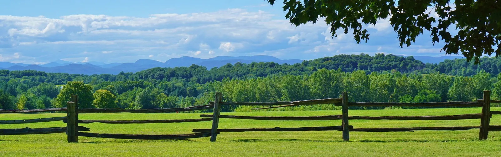 Vermont Physical Therapy