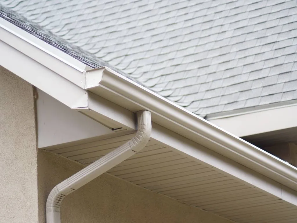 Not Just Roofs