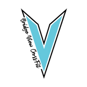 Bridge View CrossFit logo