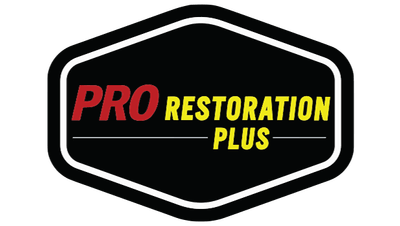 Pro Restoration Plus logo