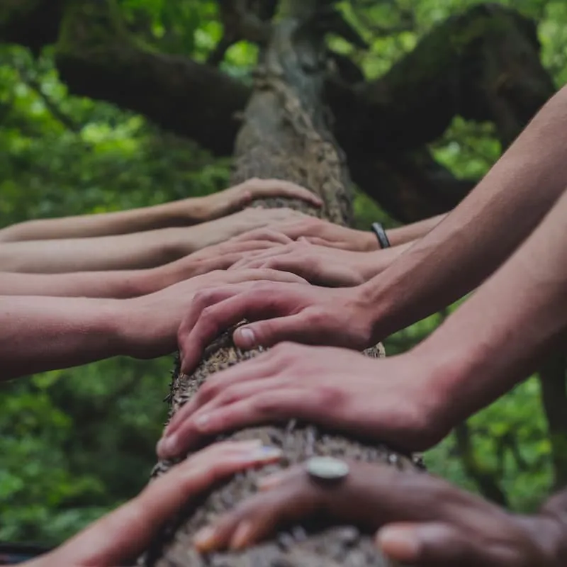 The Alleghany Foundation