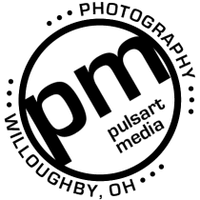 Pulsart Media Photography logo