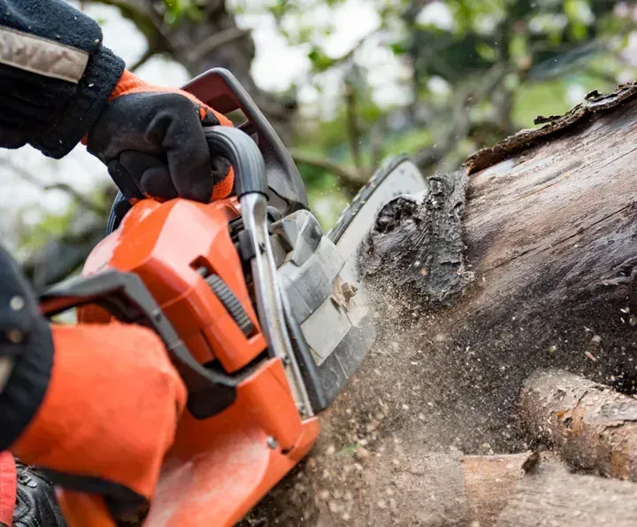 Shepherd's Tree Service and Excavation