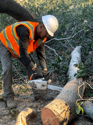 POWERS TREE SERVICE logo