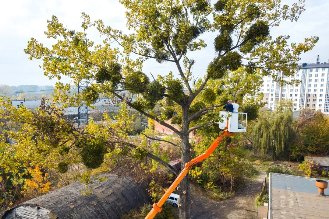 POWERS TREE SERVICE