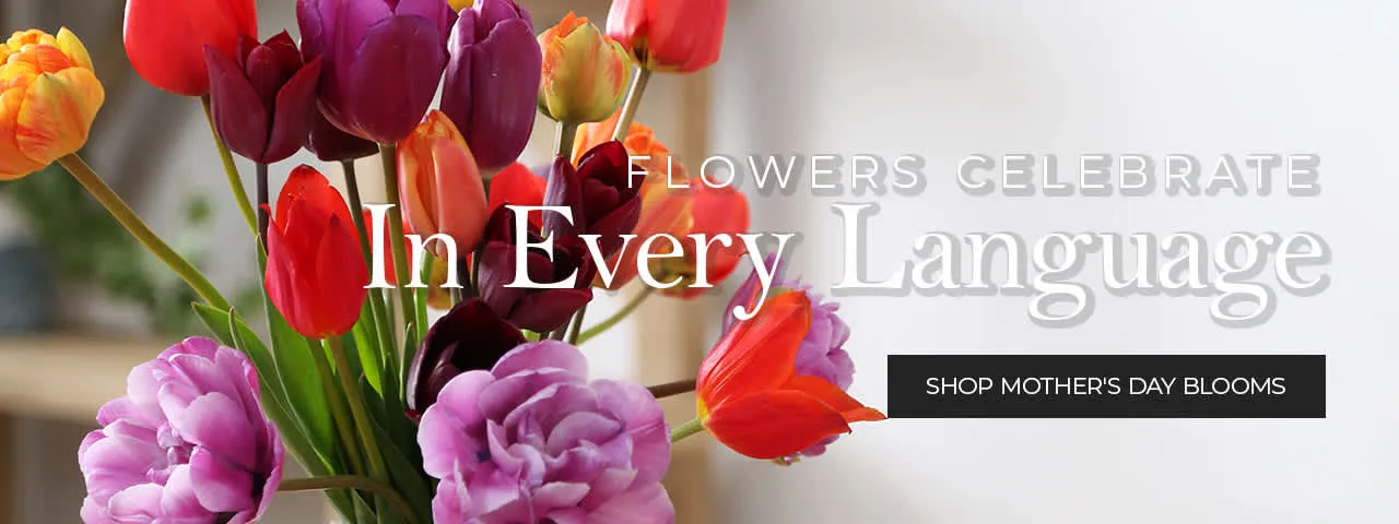 OC Flowers & Events of Beverly Hills