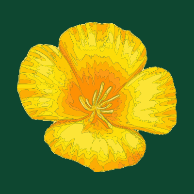 Poppy House Cleaning logo