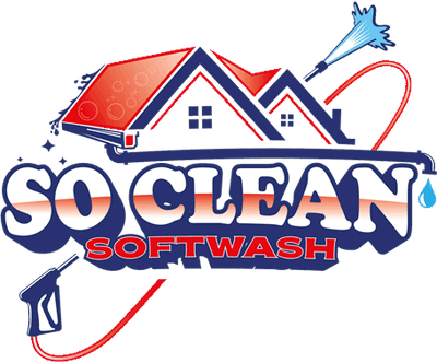 So Clean logo