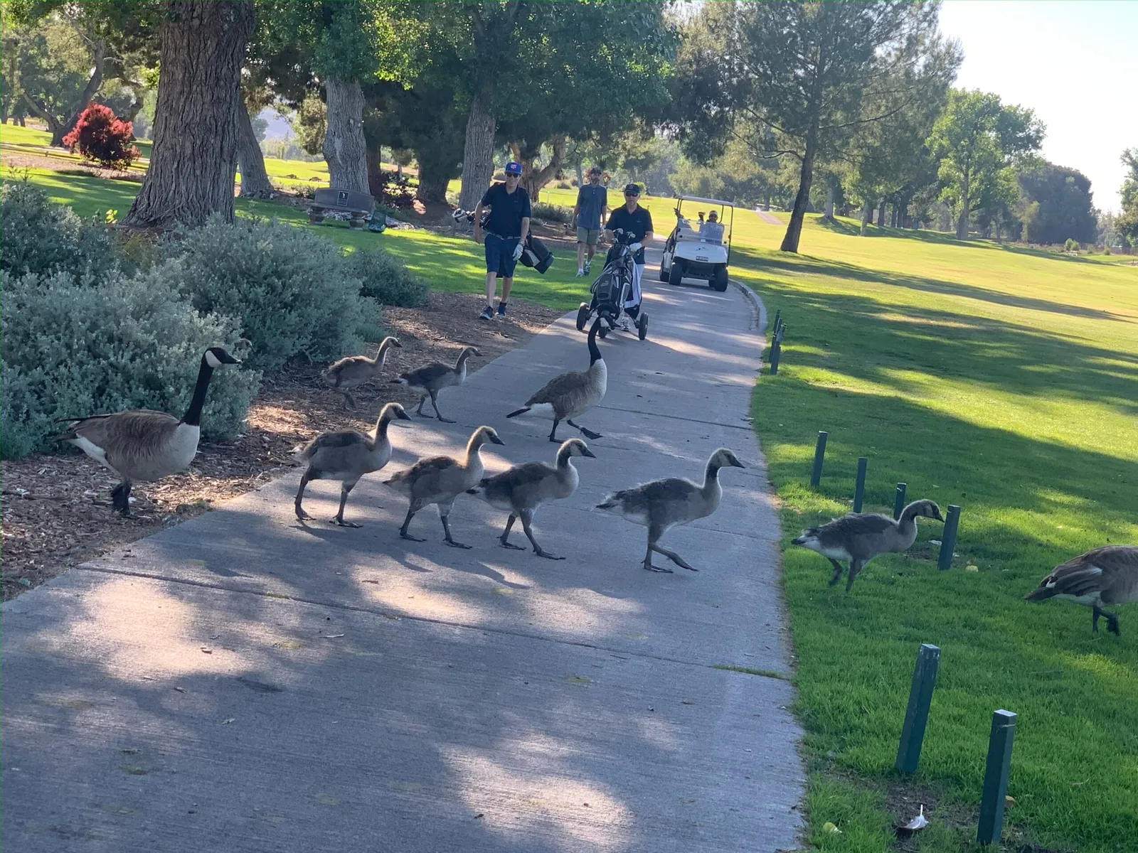 Westlake Golf Course