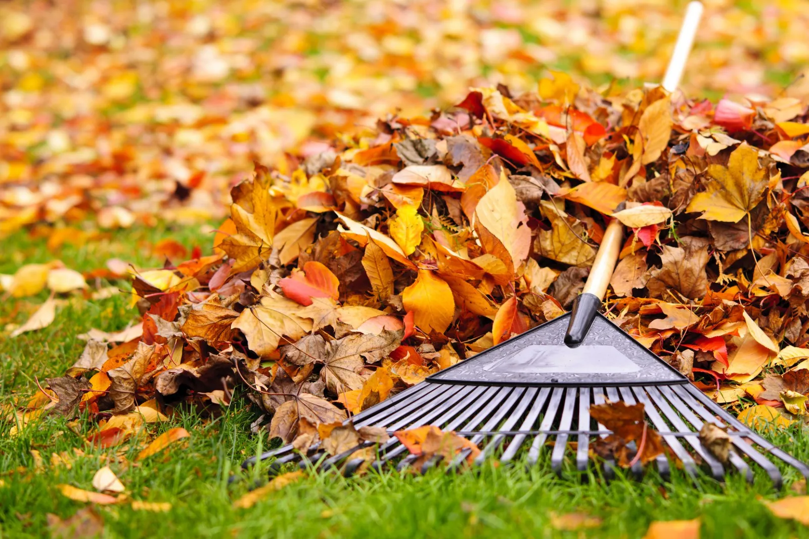 Willow Hill Lawn & Landscaping