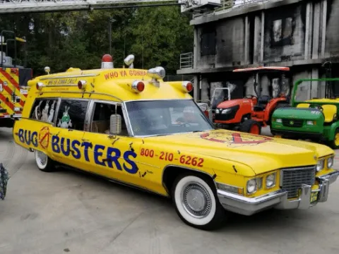 Bug Busters USA
