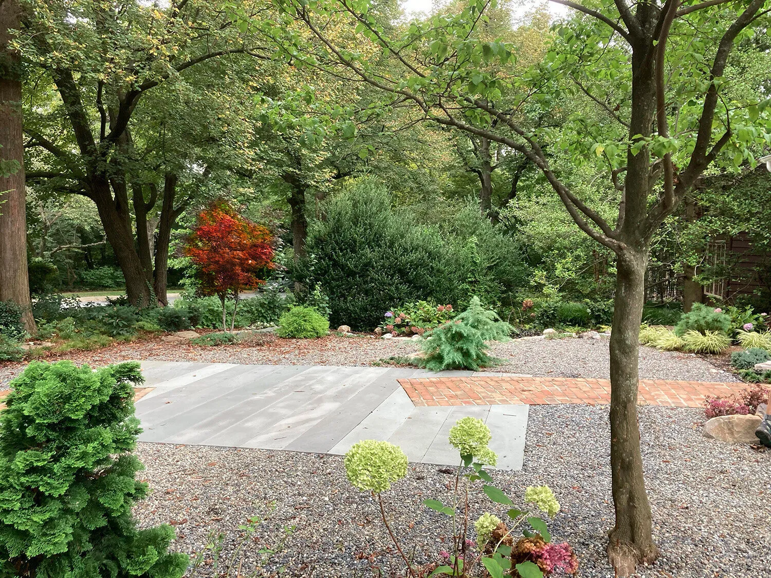 Pruning by Design