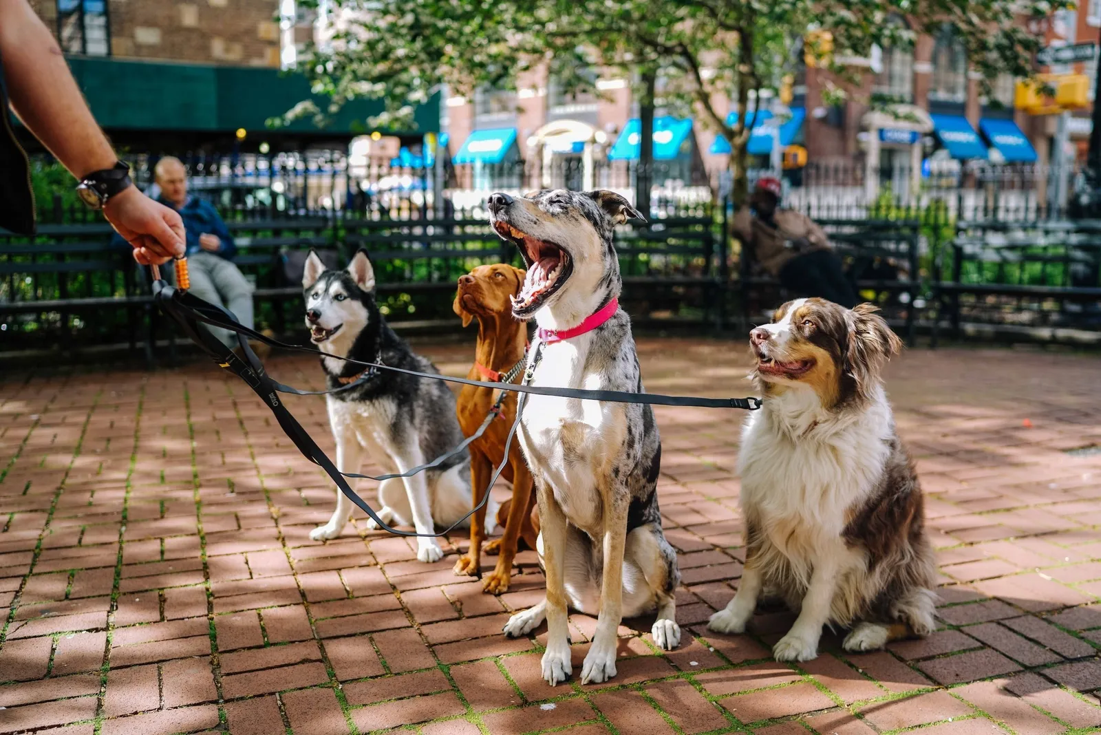 Pat's Pack