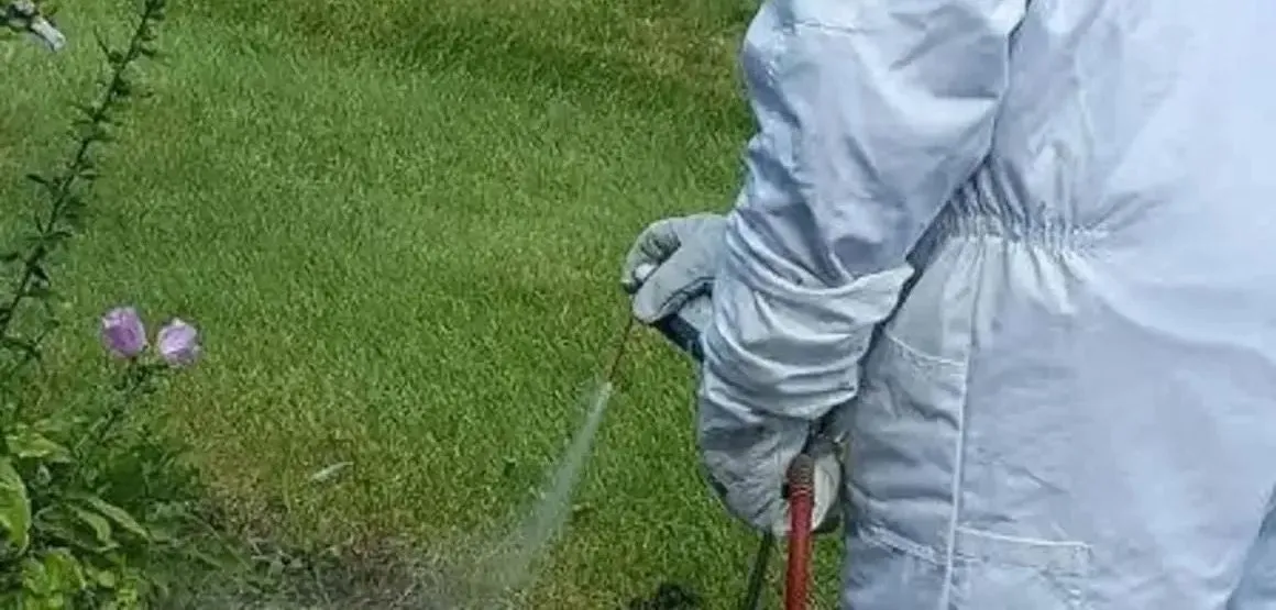 PROTEC Termite & Pest Control LLC