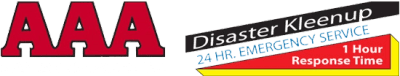 AAA Standard Services logo