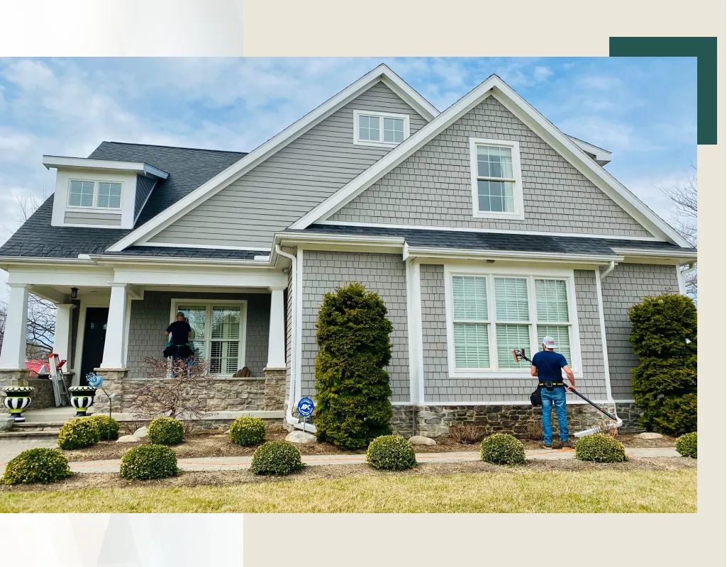 Black Swamp Window Cleaning