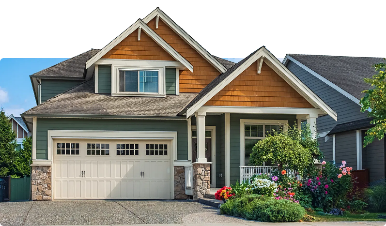 Solve Pest Pros