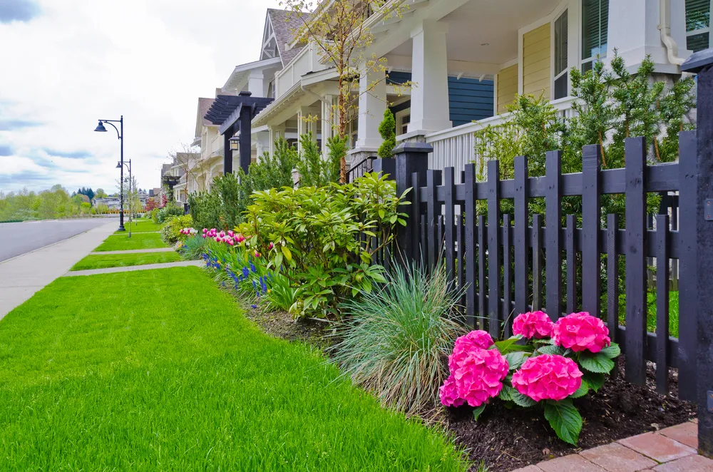 Landscape Improvements