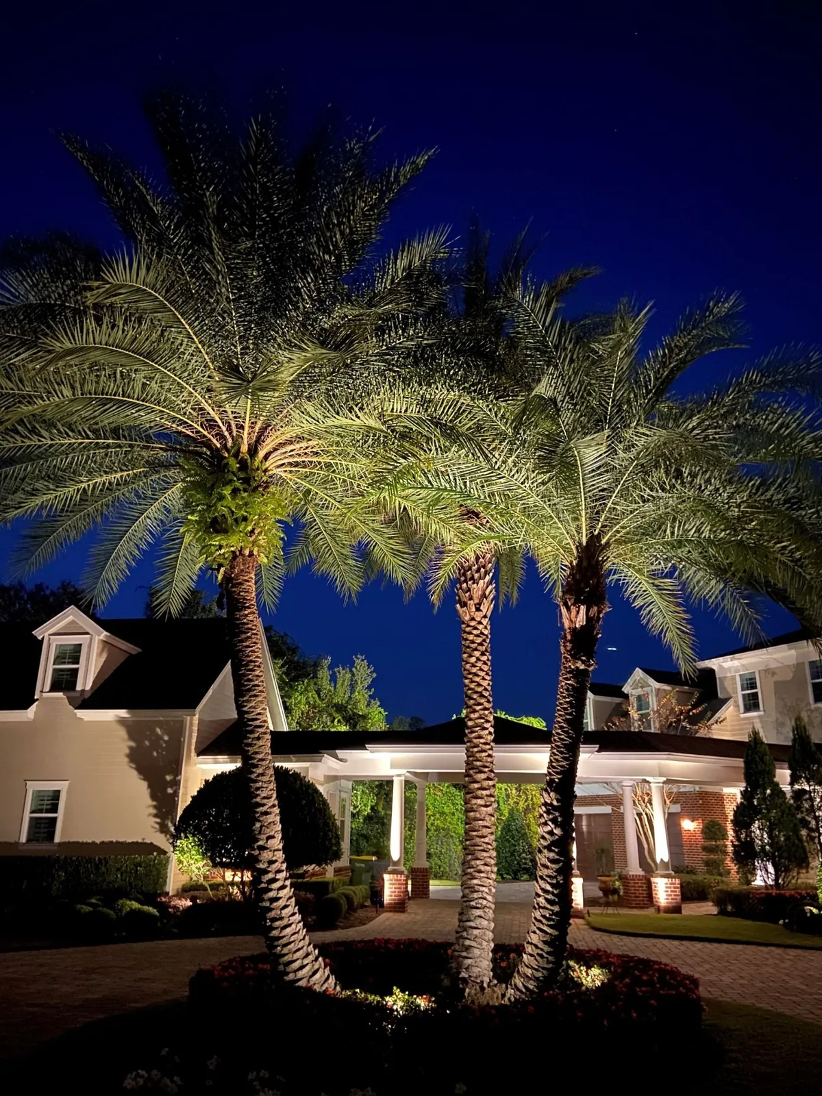 Total Sprinkler and Lighting