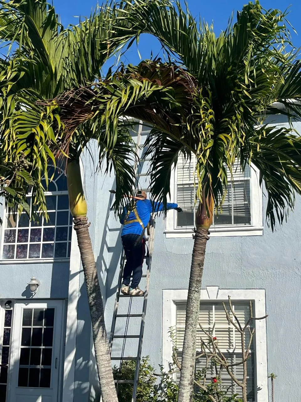 Repair Roofing USA