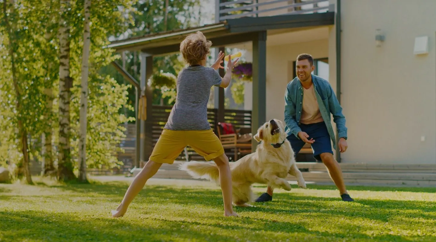 DogWatch Systems