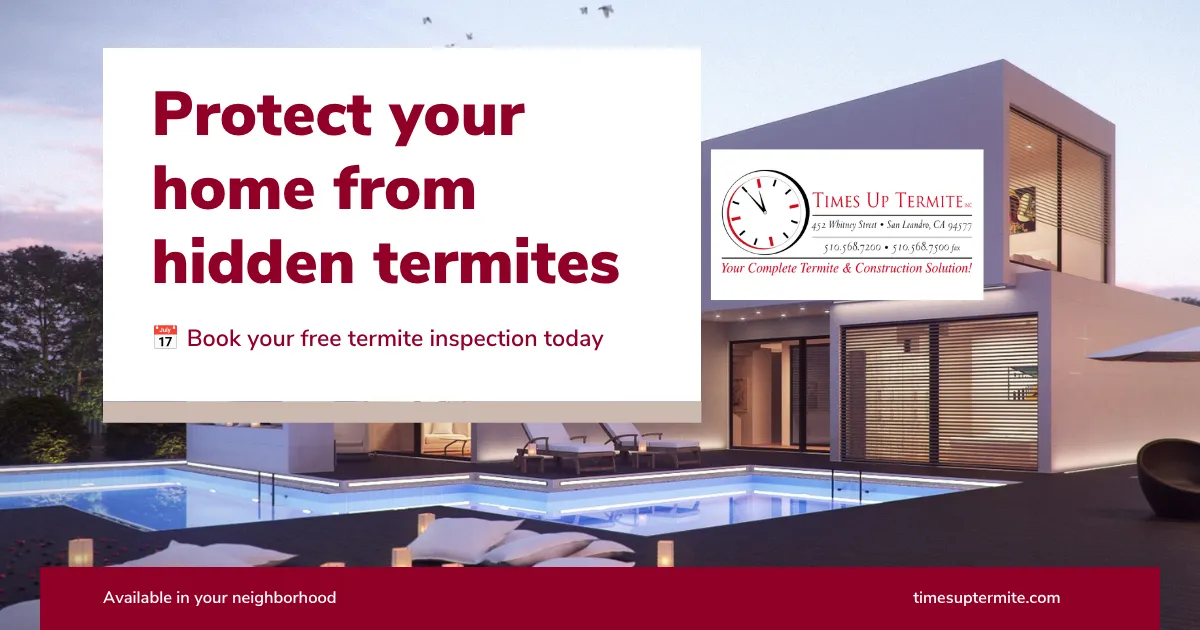 Times Up Termite