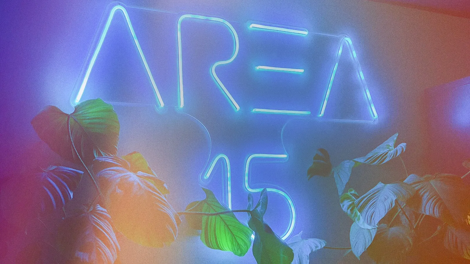 AREA 15