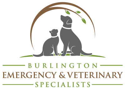 Burlington Emergency and Veterinary Specialists logo
