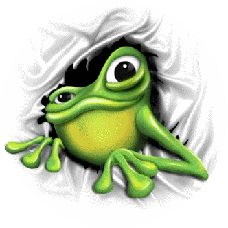 Bull Frog Constructions logo