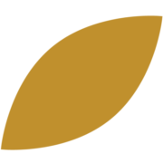 Spa Castle Texas logo
