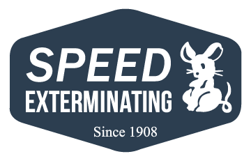 Speed Exterminating logo
