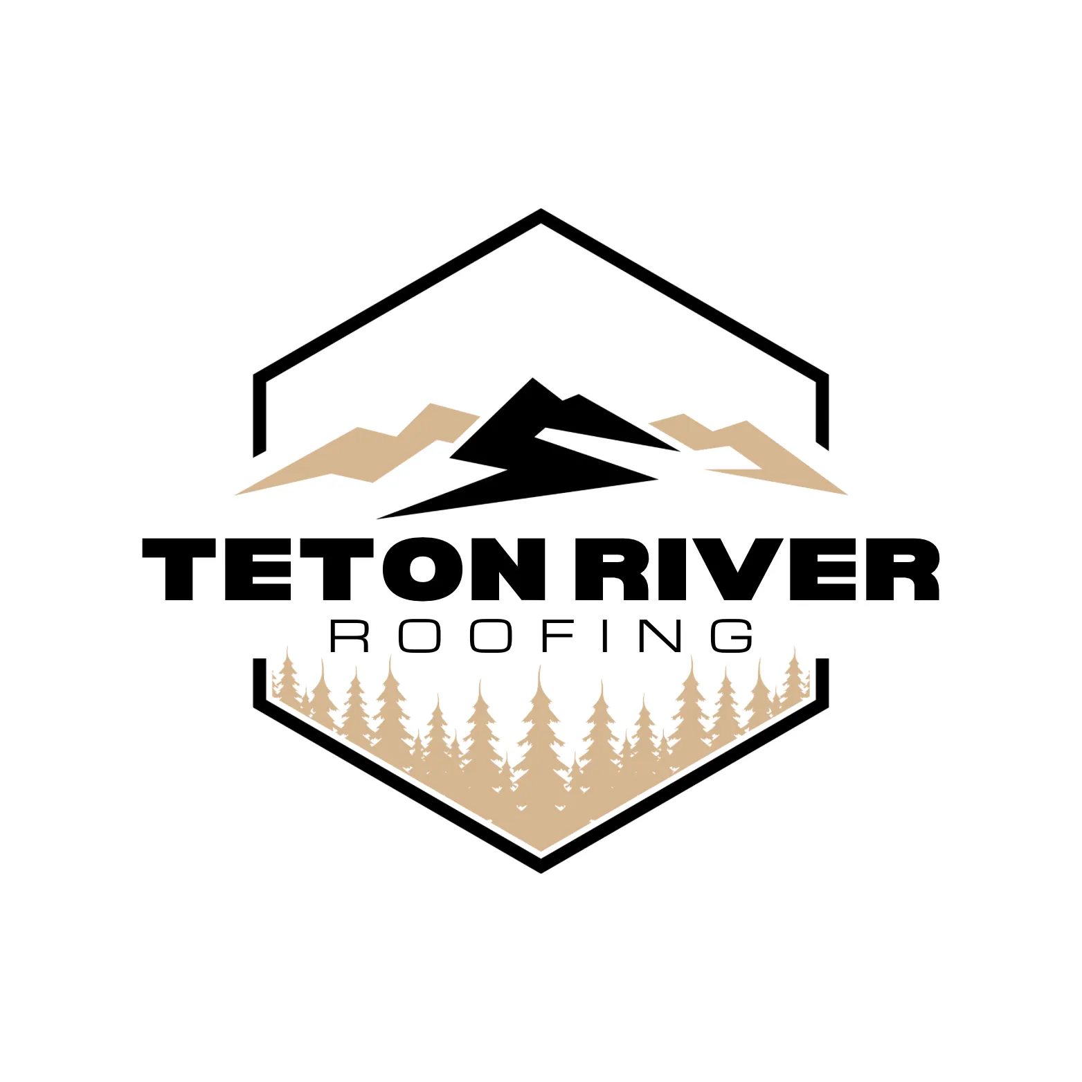 Teton River Roofing