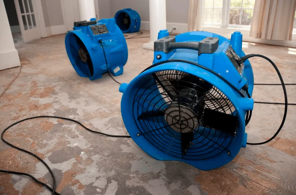 Water Damage Repair Pro