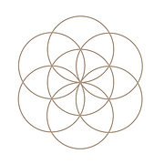 Holistic Wellbeings LLC logo