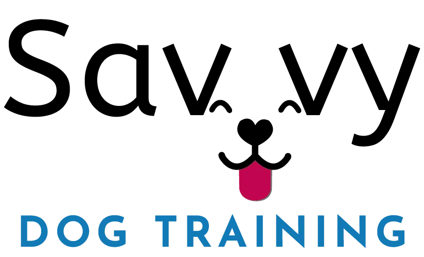 Savvy Dog Training