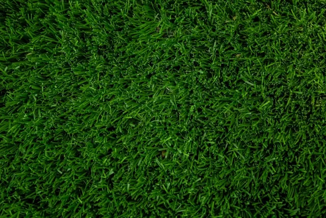 Burgas Turf Management LLC