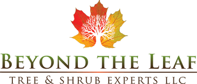 Beyond The Leaf Tree & Shrub Experts logo